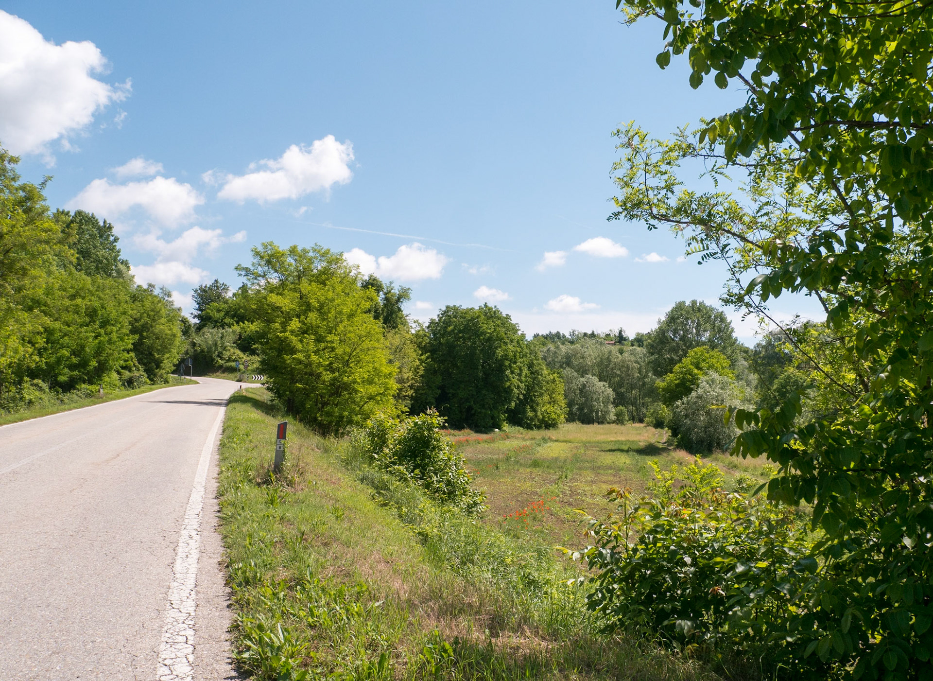 I had to stop and catch my breath on the wy up the long hill [Trinità, Piemonte, Italy]