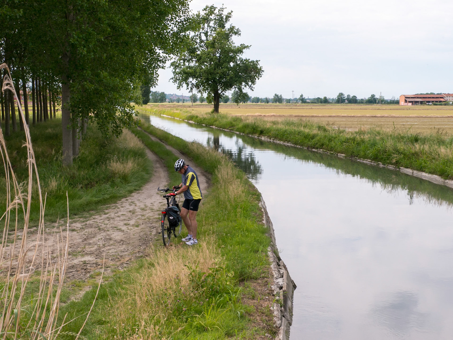 Following the canal through the rice fields back to Casale Monferrato [Provincia di Alessandria, Piemonte, Italy]