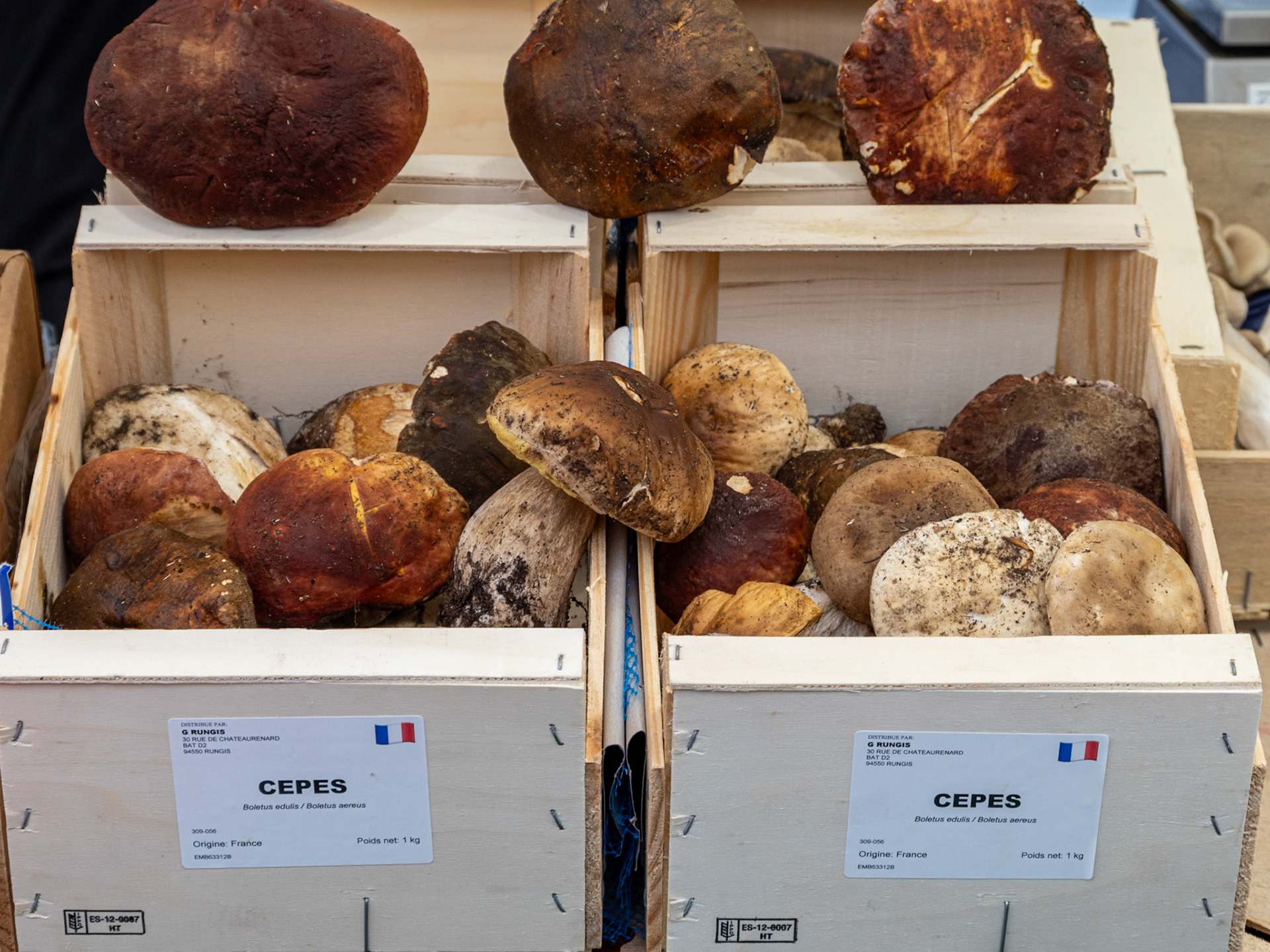 We wanted to take home one of everything but alas, didn't have enough room! [Paris, Île-de-France, France]