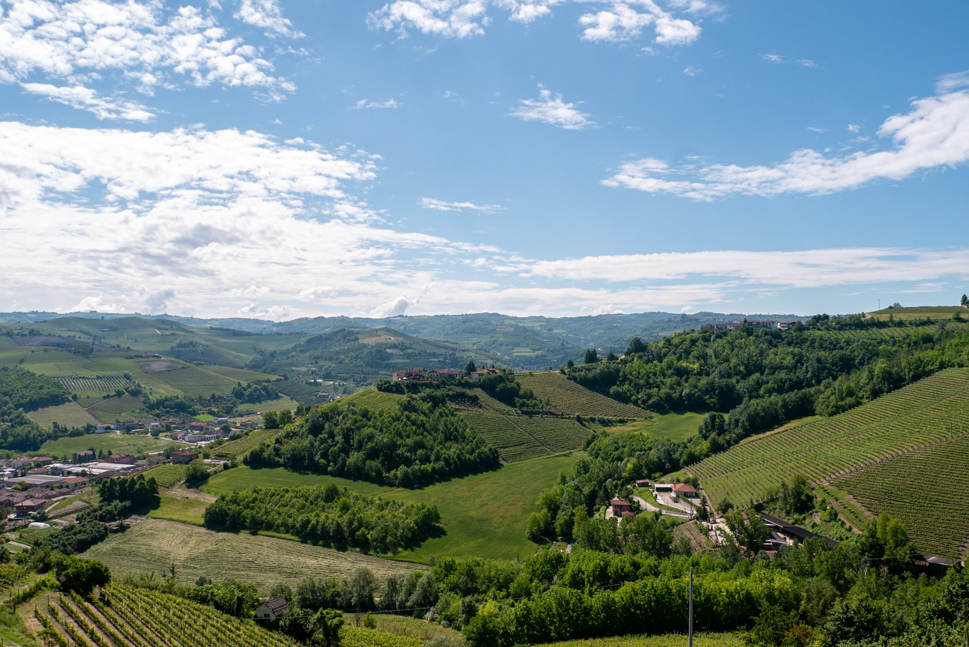 We took a drive through the lovely countryside near our lodgings [Provincia di Cuneo, Piemonte, Italy]
