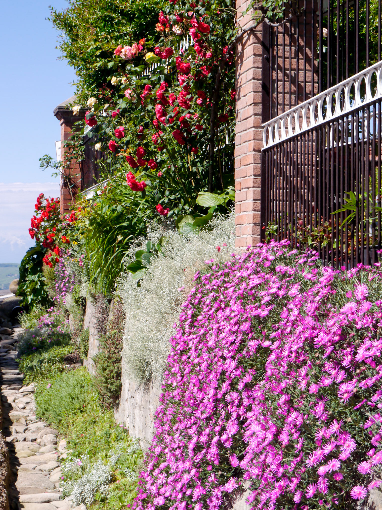 This house was beautifully bedecked with flowers [Provincia di Cuneo, Piemonte, Italy]