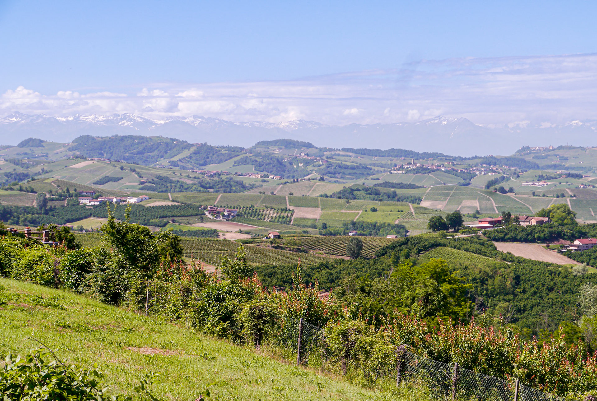 We took a drive through the lovely countryside near our lodgings [Provincia di Cuneo, Piemonte, Italy]