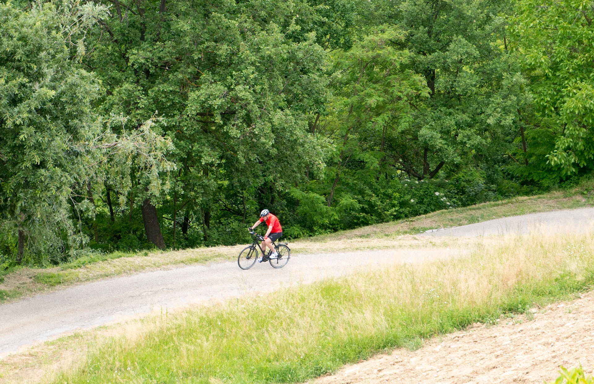 Werner mastered the steep hill up to the B&amp;B [Provincia di Cuneo, Piemonte, Italy]