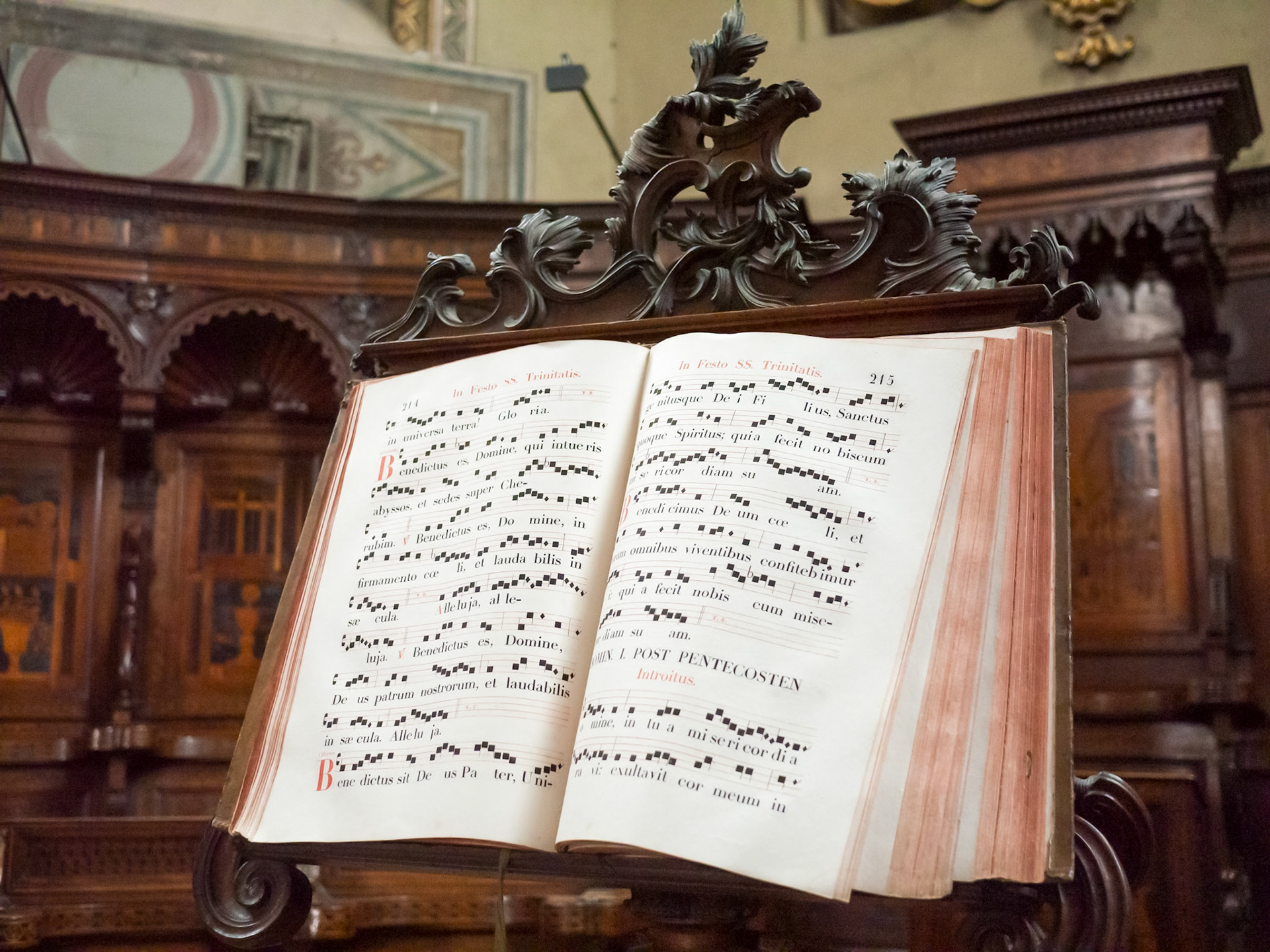 There was a time when I could have read the numes [Alba, Piemonte, Italy]