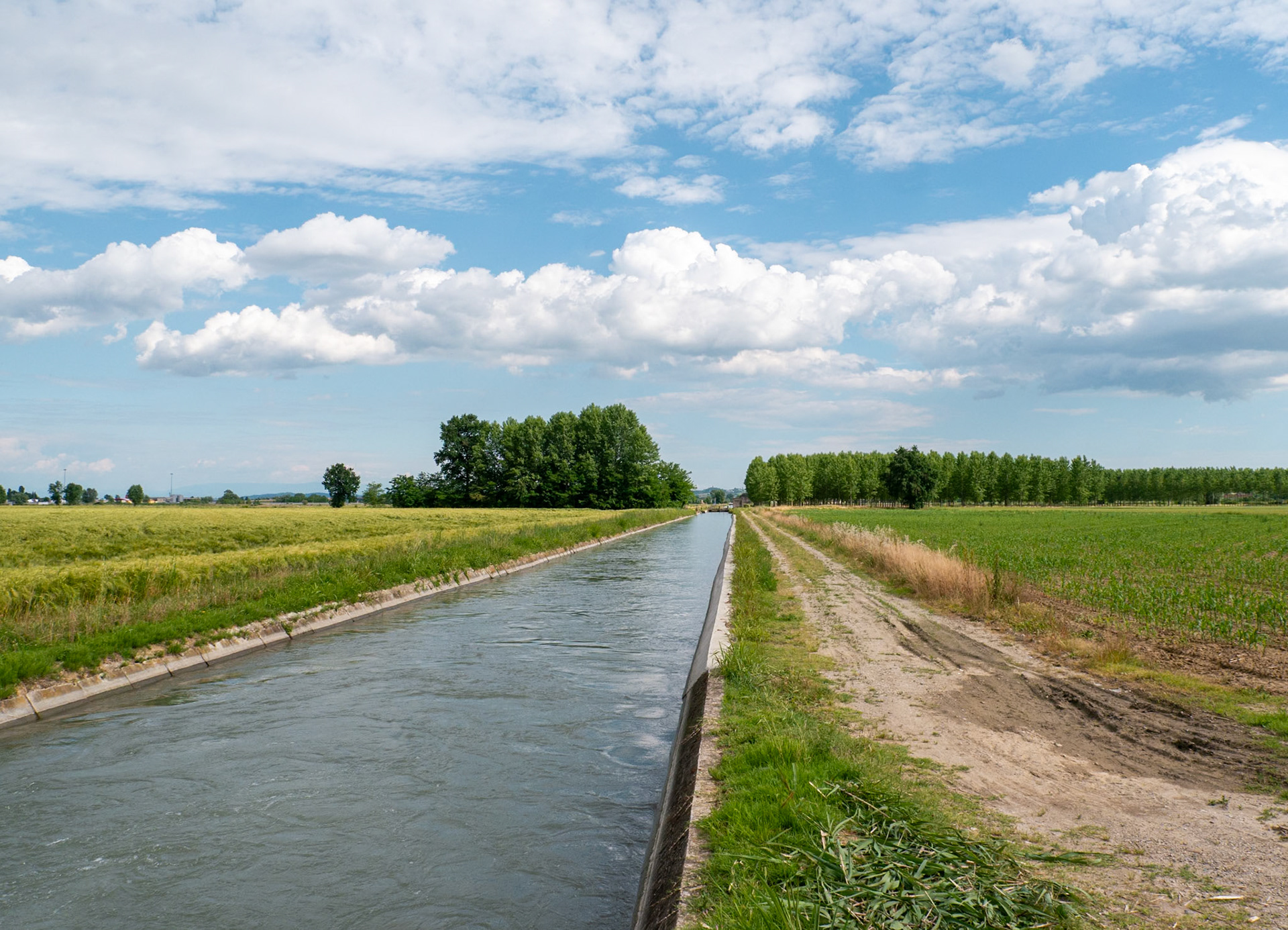 Following the canal through the rice fields back to Casale Monferrato [Provincia di Alessandria, Piemonte, Italy]