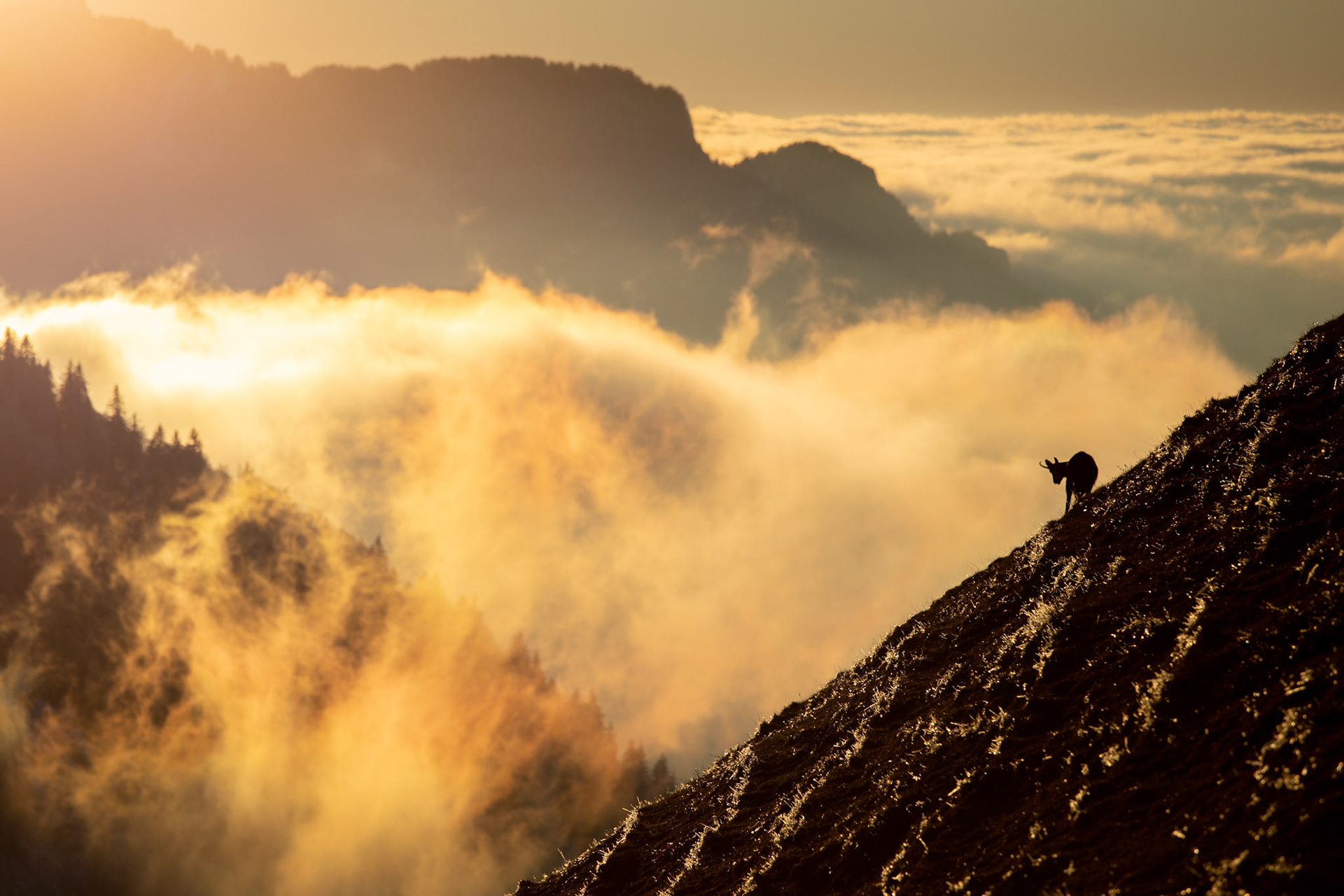 Au dessus des nuages