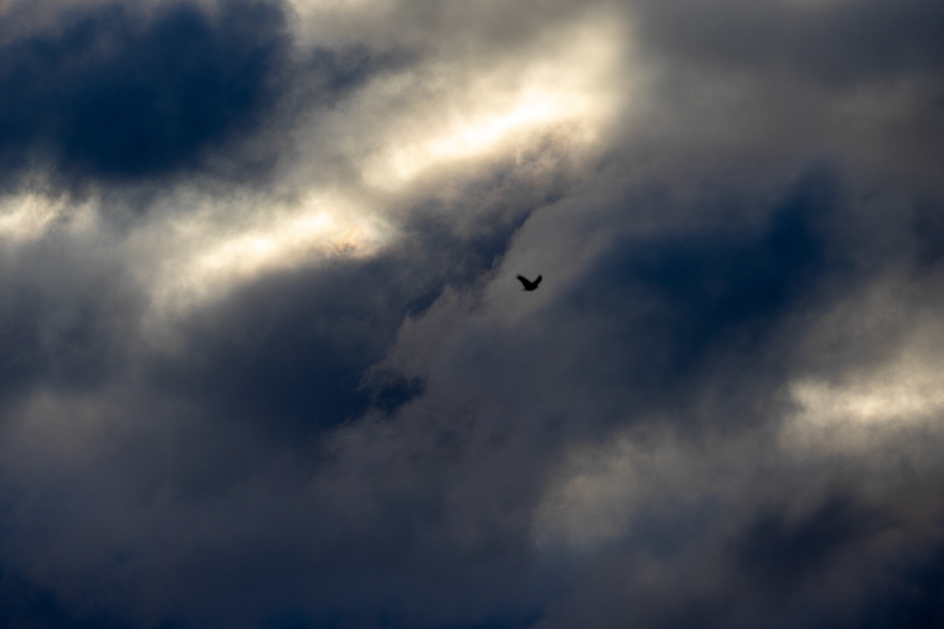 Sombre Ciel