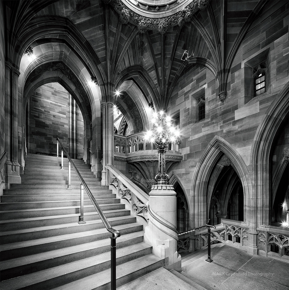 Have You Seen Harry?