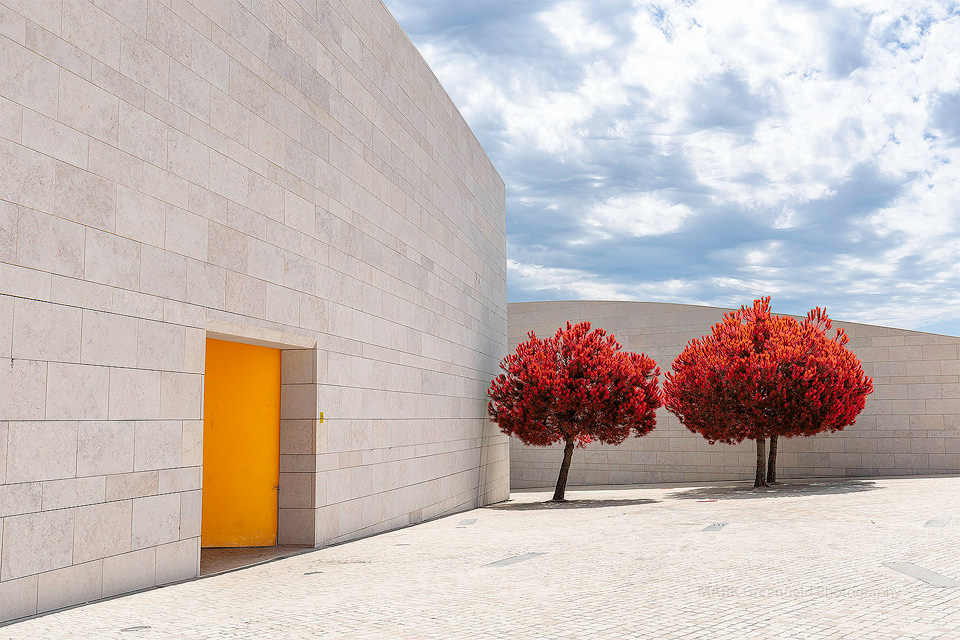 The Red Trees