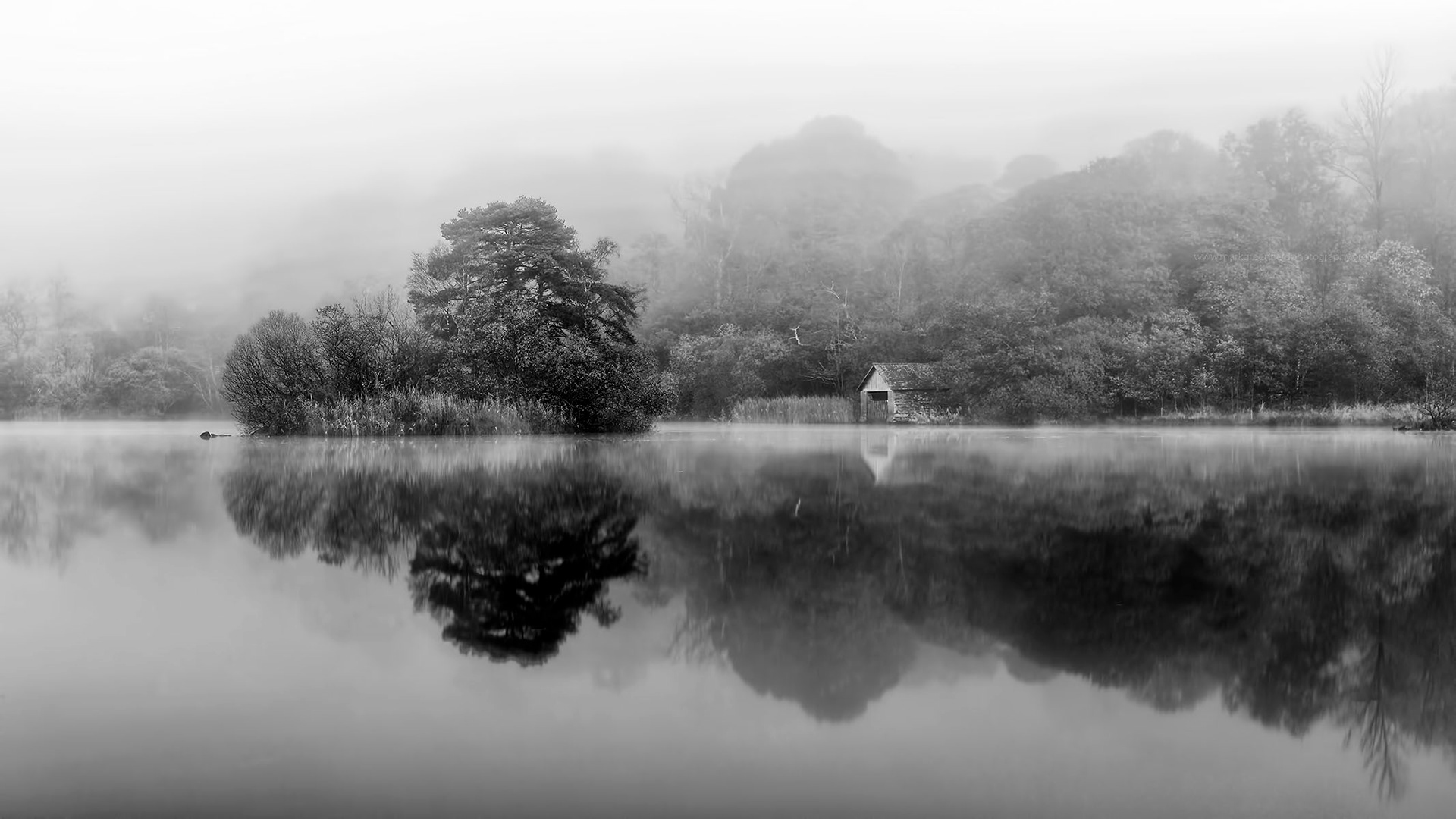 Misty