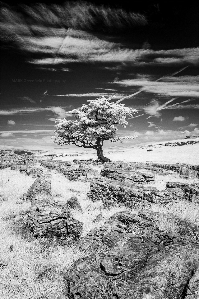 Winskill Stones