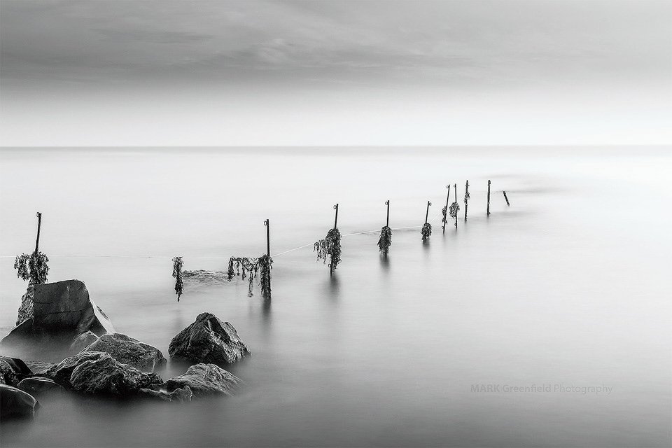 Hauntingly Beautiful