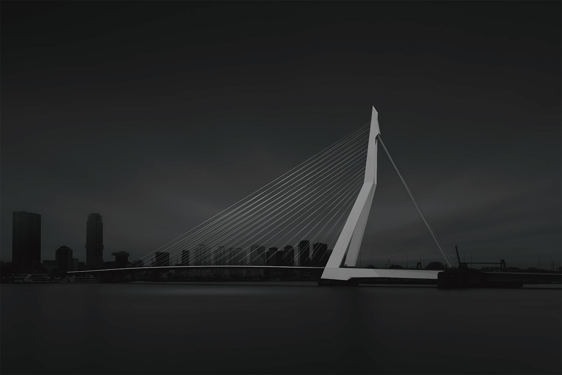 Erasmus Bridge