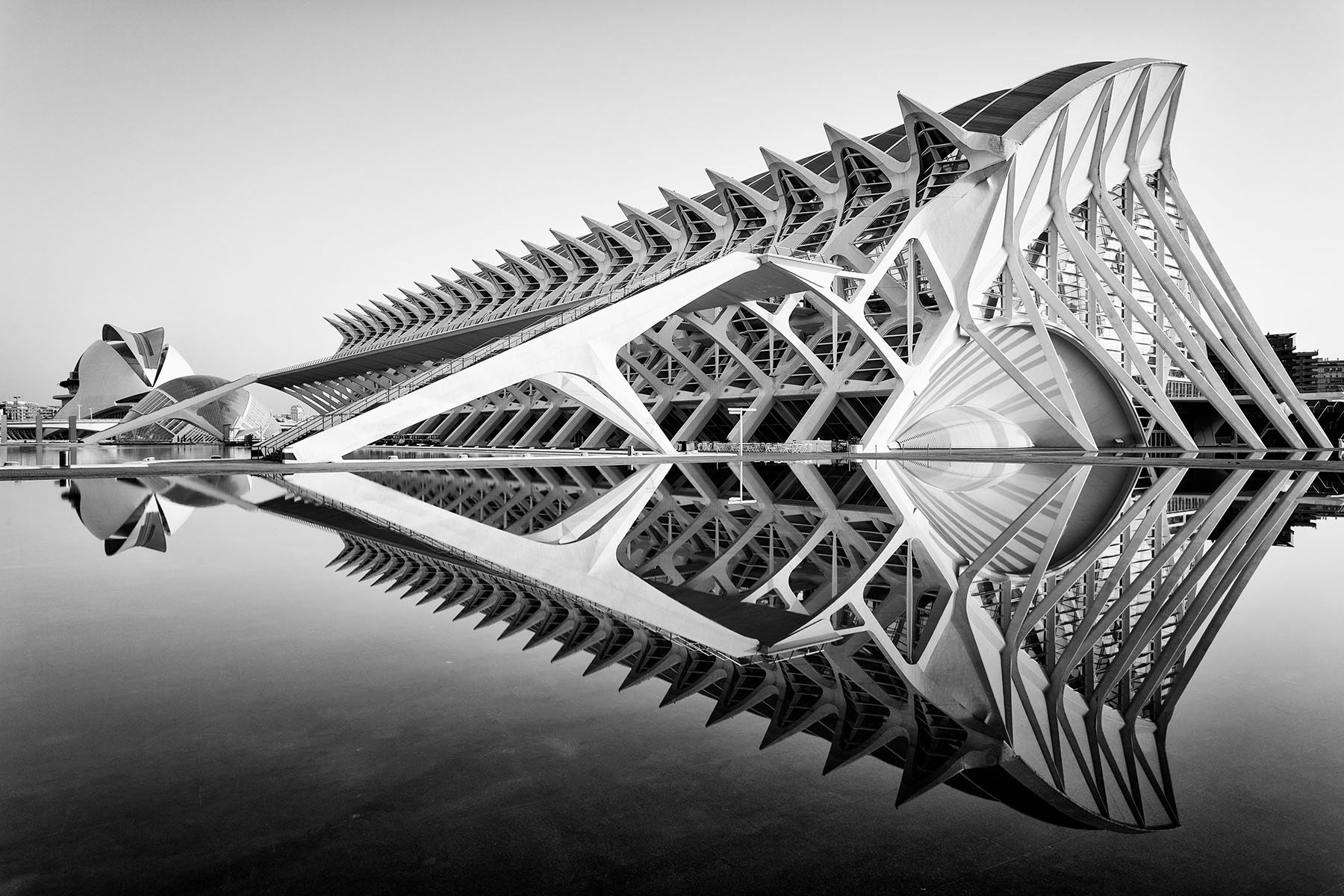 City of Arts and Sciences