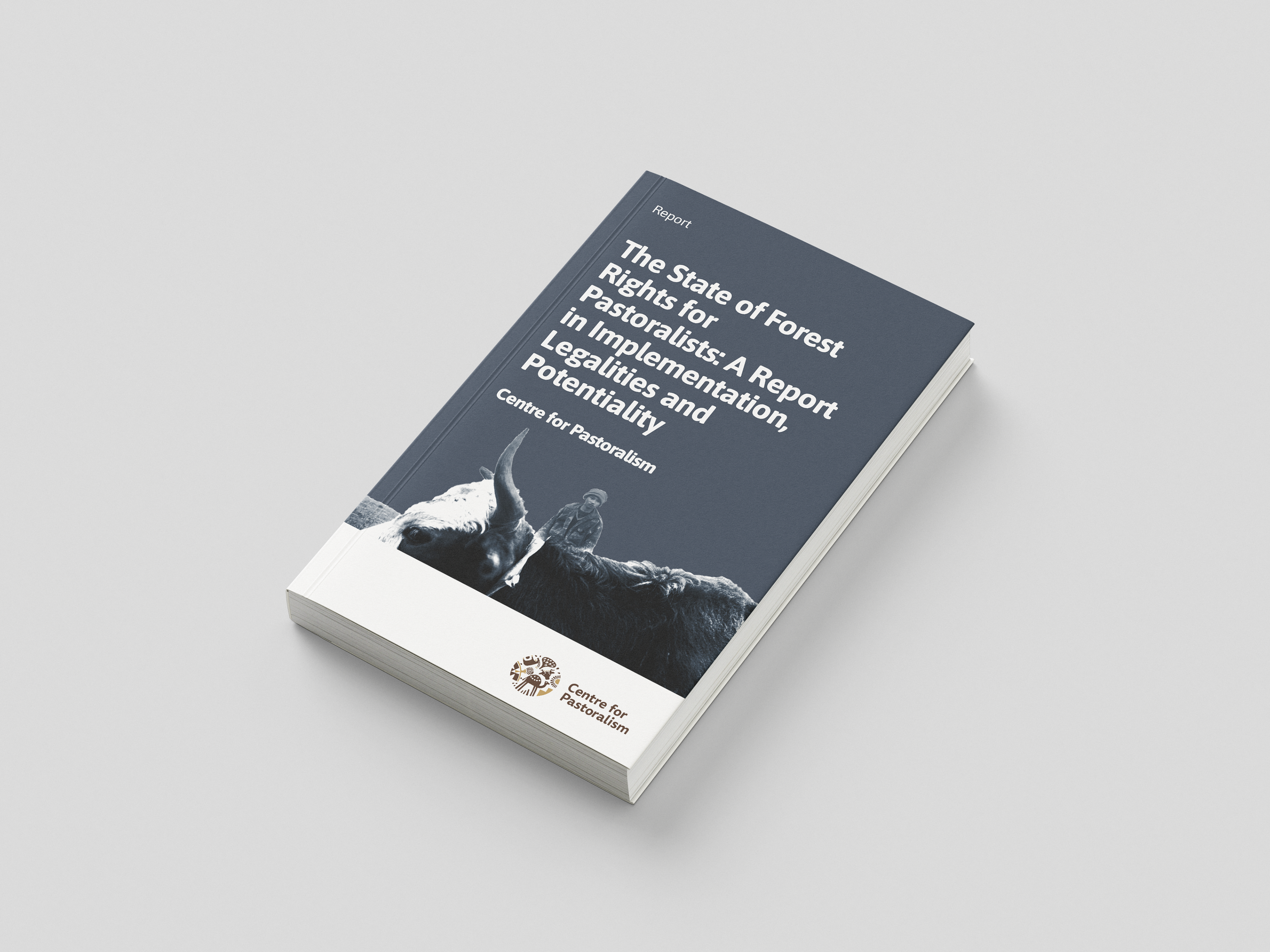 Report Cover Design for Centre for Pastoralism