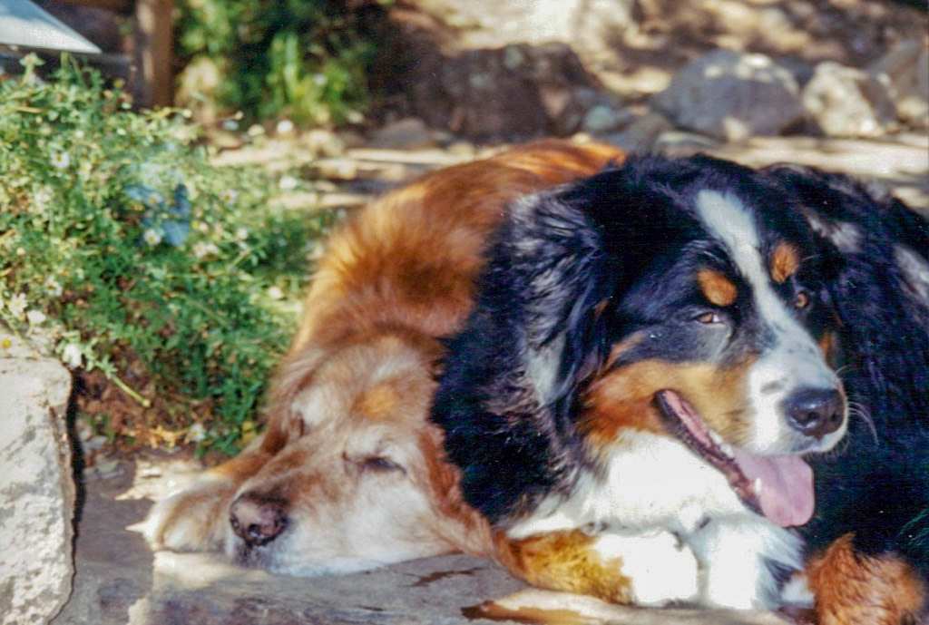 Mac and Sierra 2004