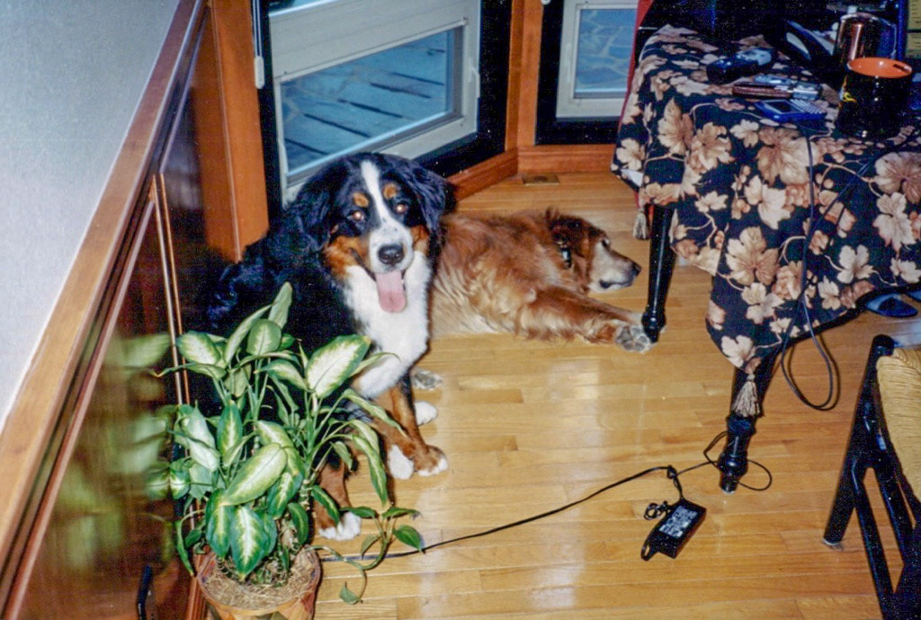 Sierra and Mac 2004