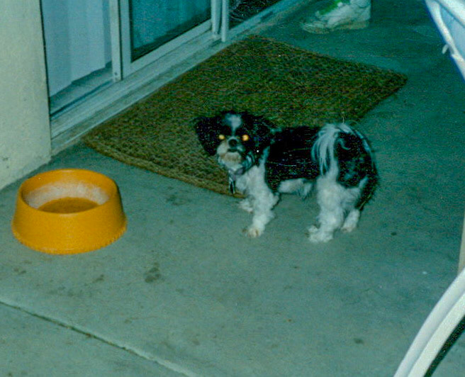 Penny