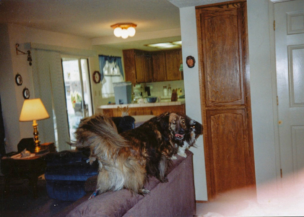 Coco and Penny 1992