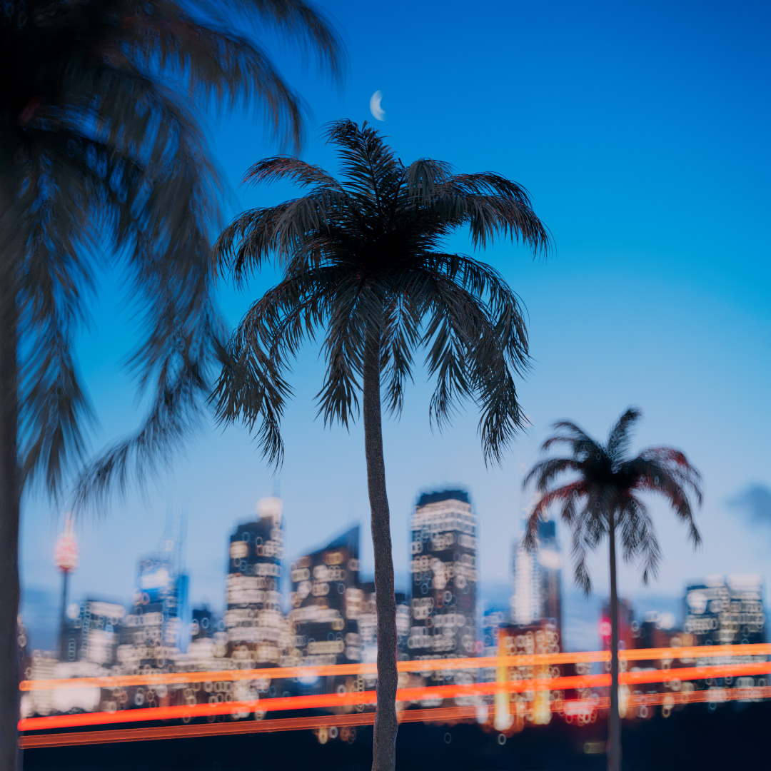 Indigo Night