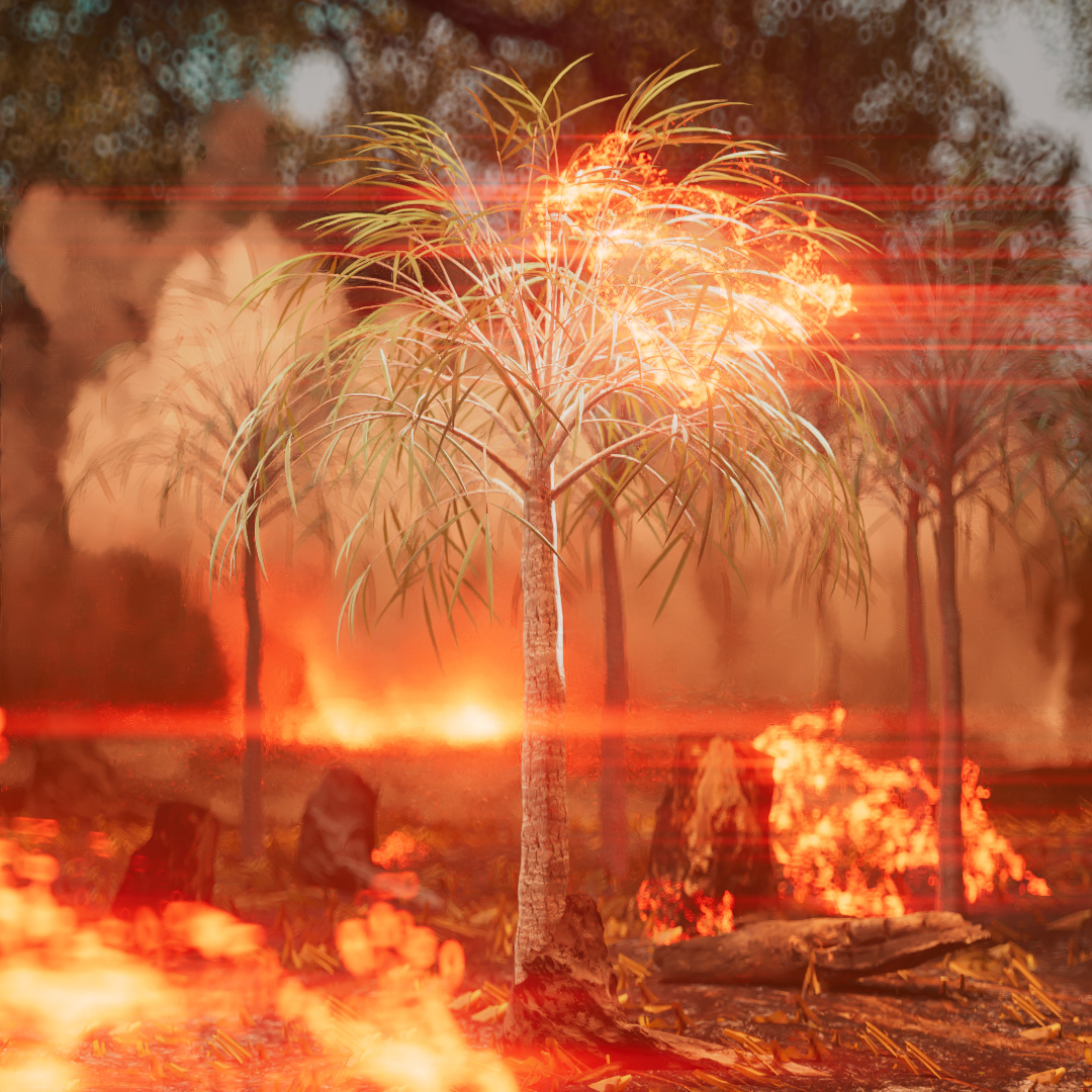 Fire On Fire