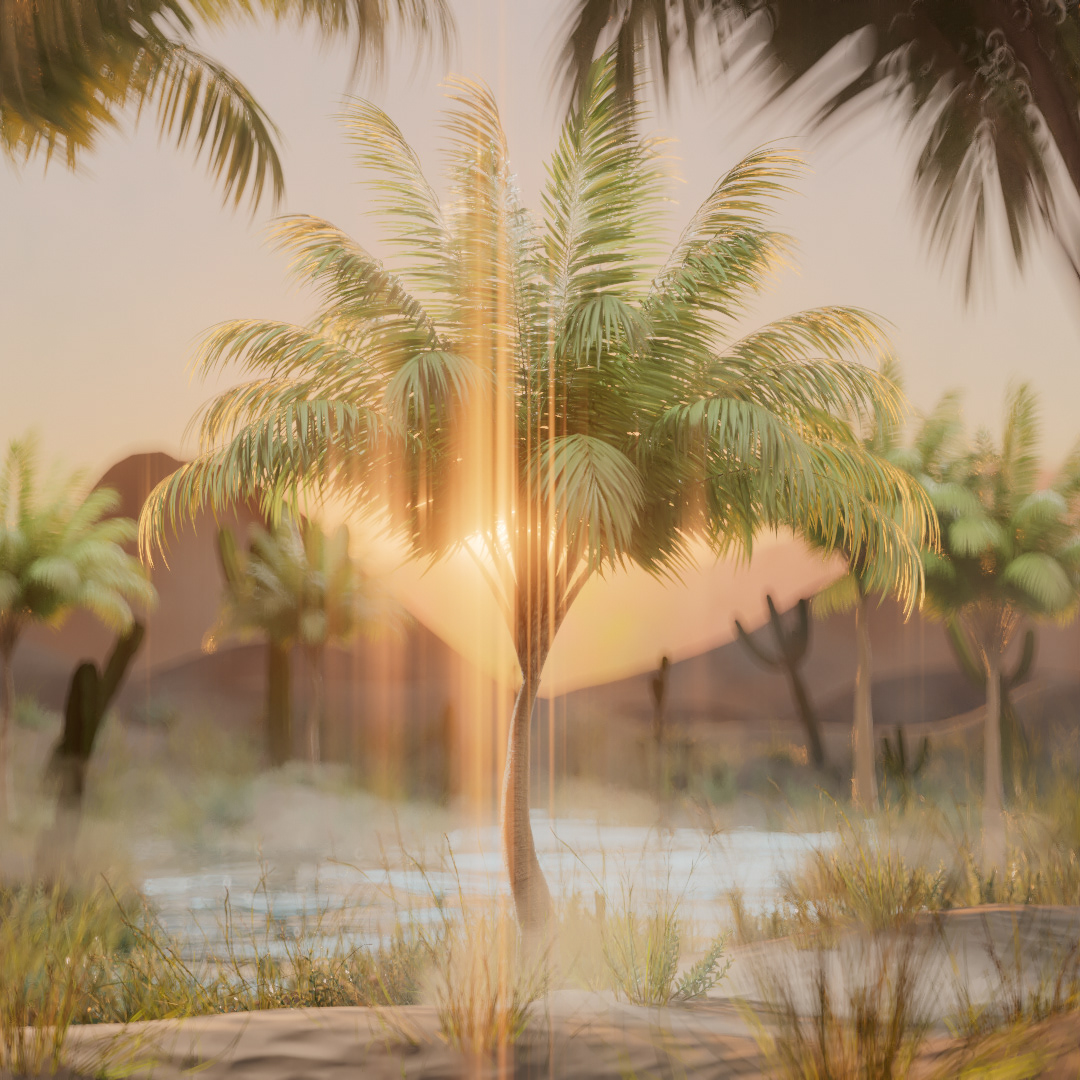 Oasis