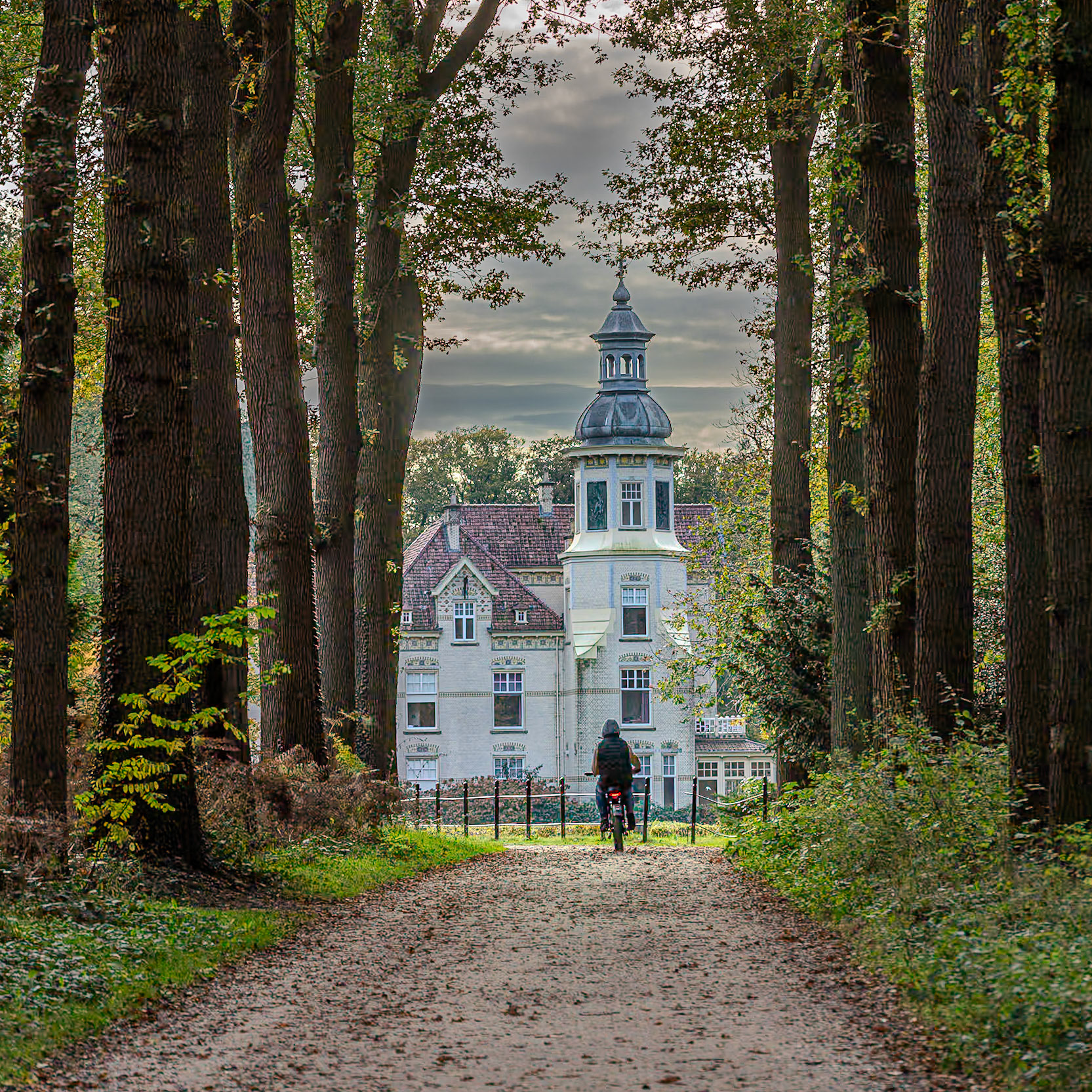 Groevebeek - Ermelo, The Netherlands (2024)