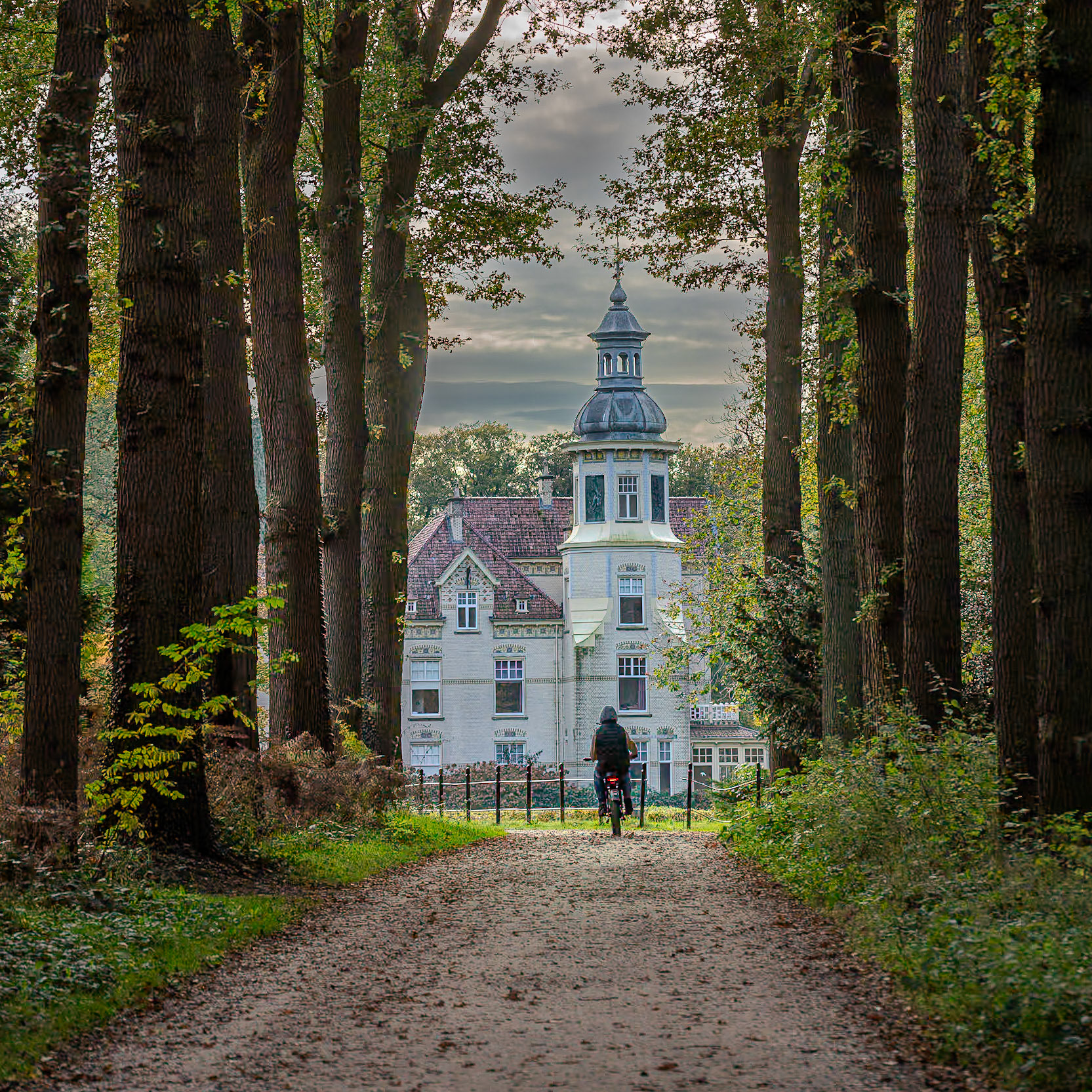 Groevebeek - Ermelo, The Netherlands (2024)