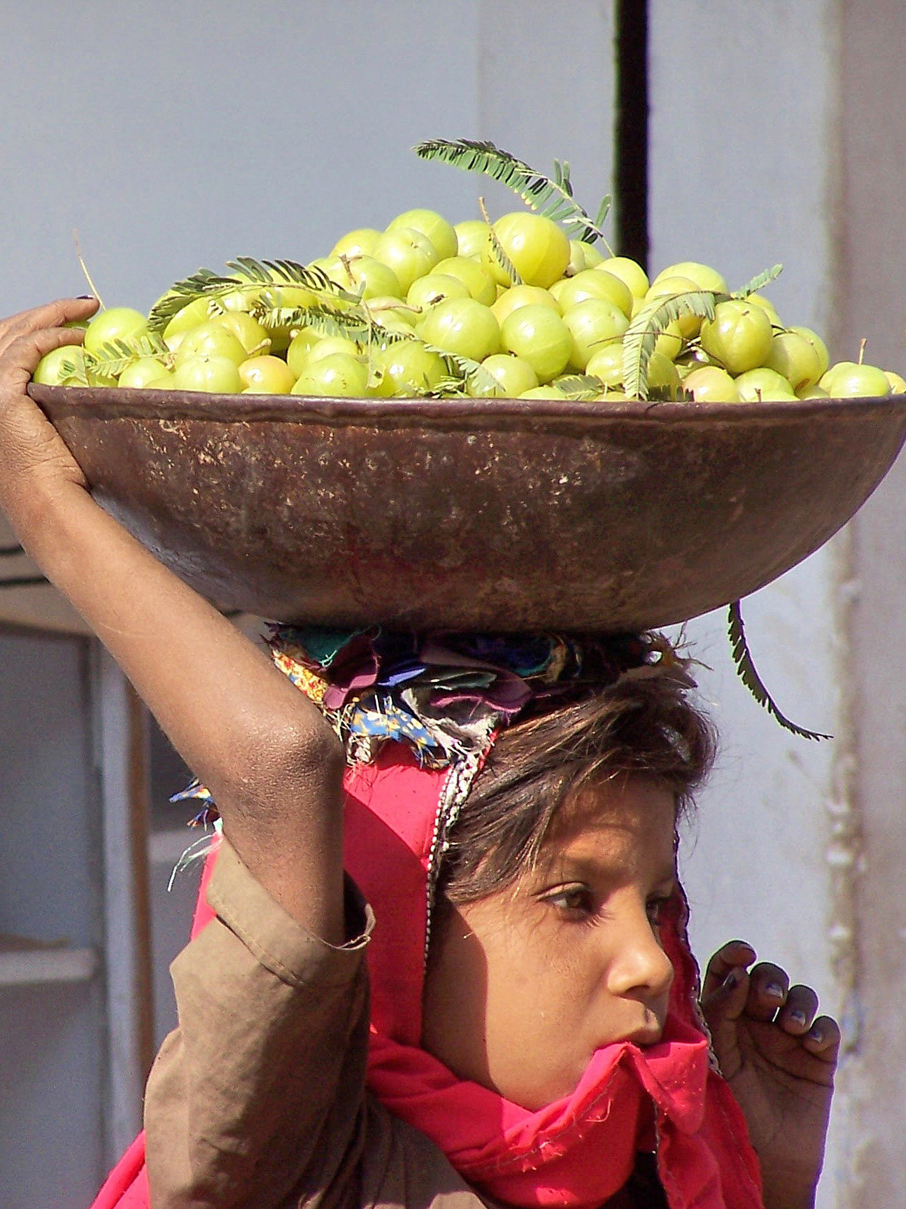 Girl carrying gooseberries. India 2003.