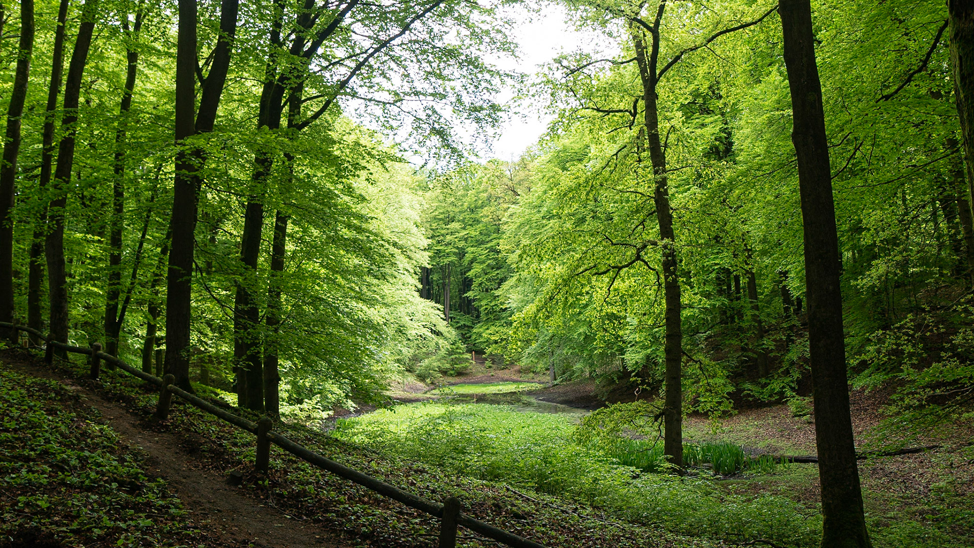 Solse gat - Putten, The Netherlands (2021)