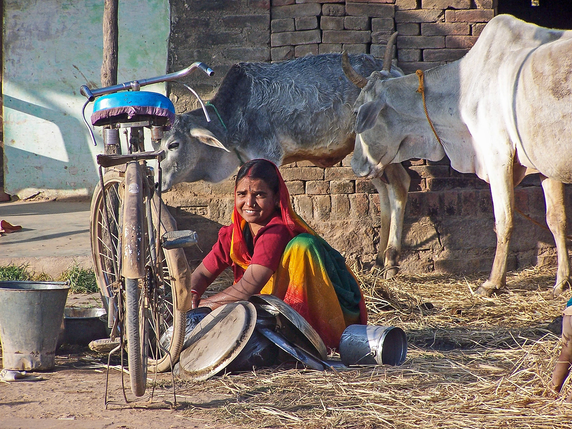 Woman doing the dishes by using ashes - India (2003)