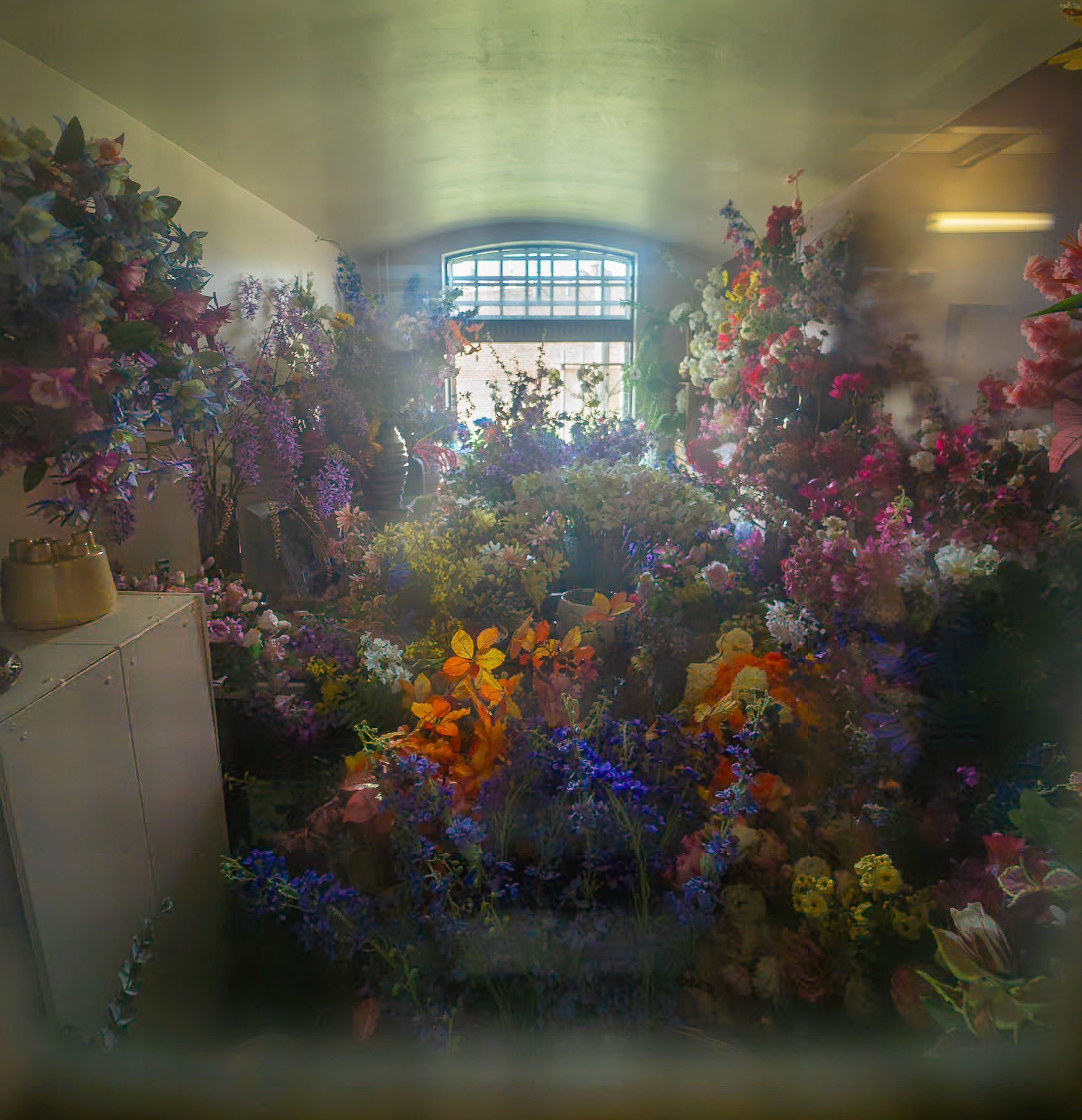 Wolvenplein - Utrecht, The Netherlands (2024)