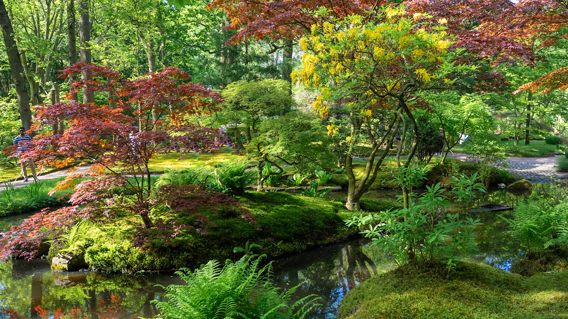 Clingendael - The Hague, The Netherlands (2024)