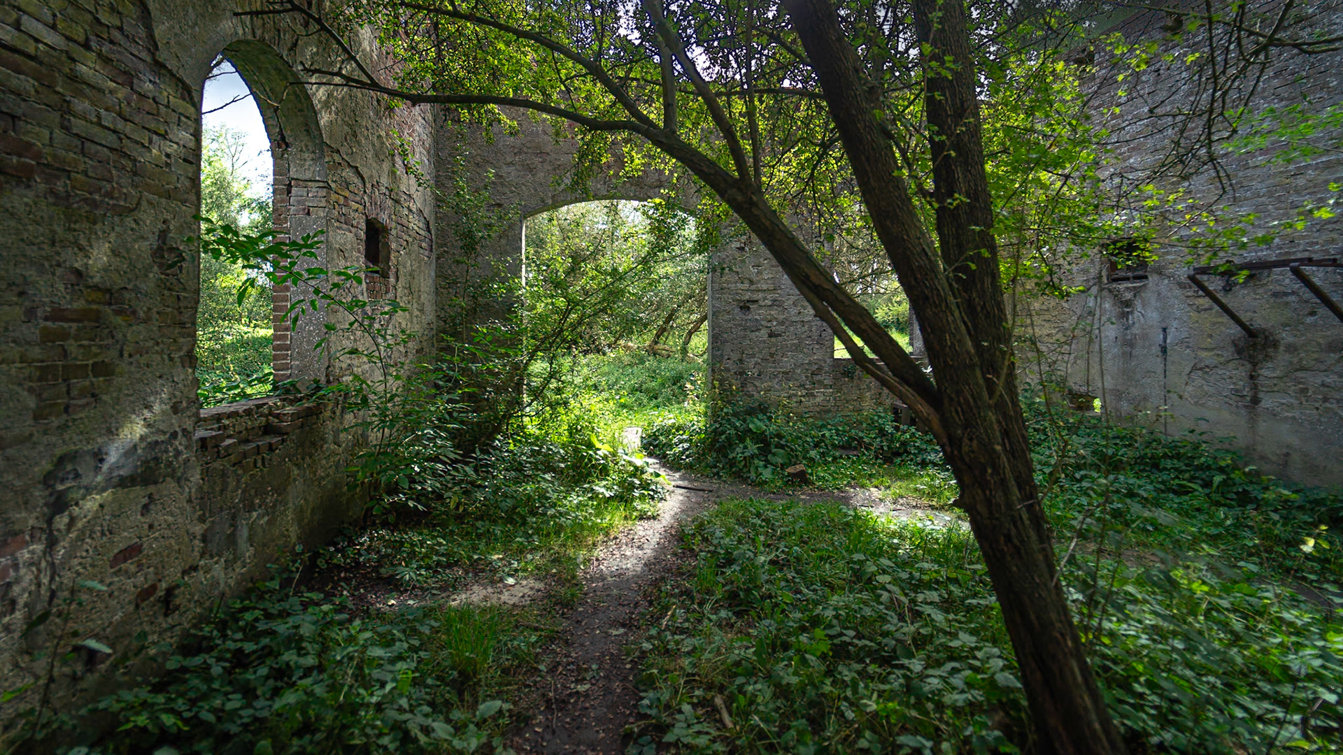 Blauwe Kamer - Rhenen, The Netherlands (2024)