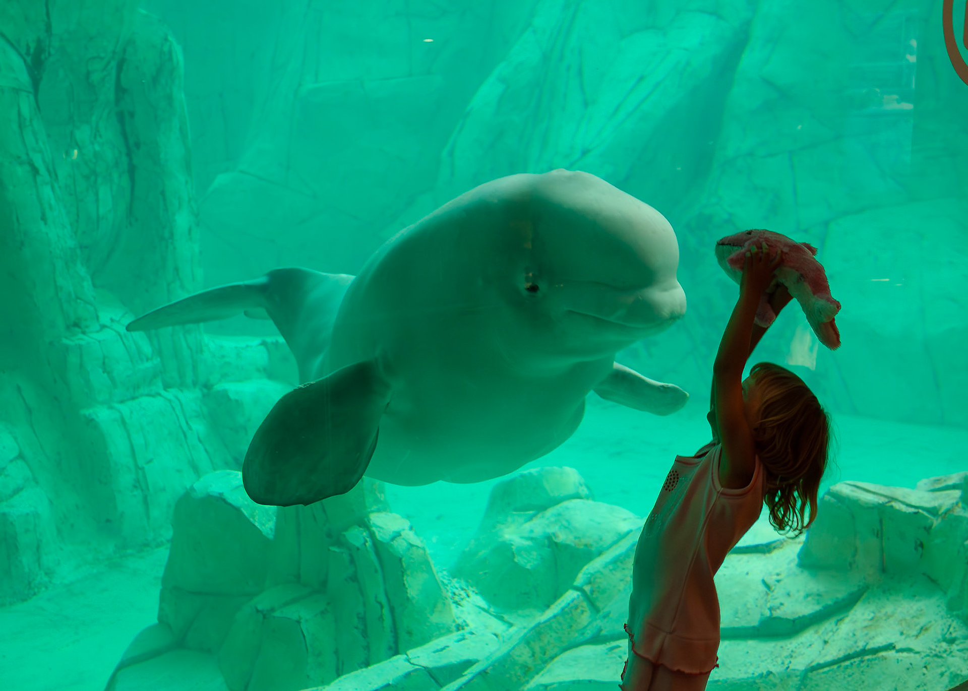 Valencia - Spain (2009)