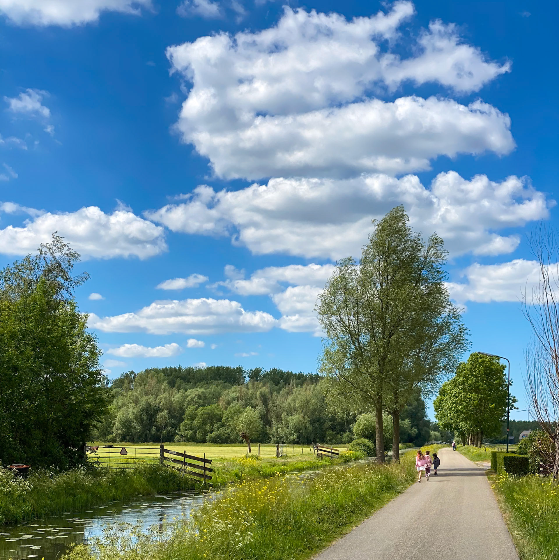 Schalkwijk, The Netherlands (2020)
