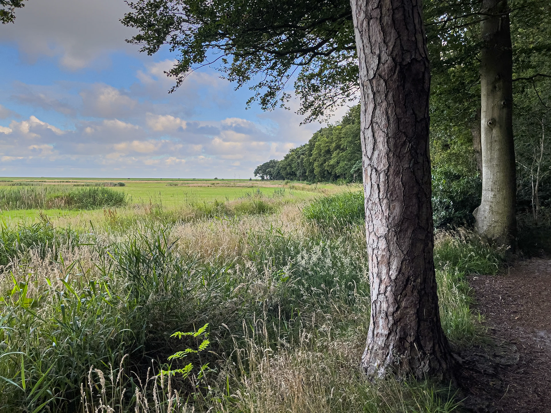 Gaasterland - Friesland, The Netherlands (2022)