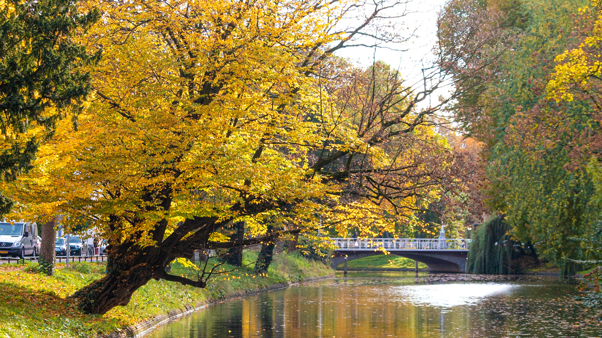 Autumn - Utrecht , The Netherlands (2020)