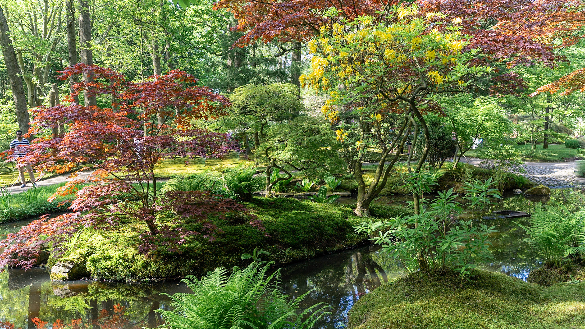 Clingendael - The Hague, The Netherlands (2024)