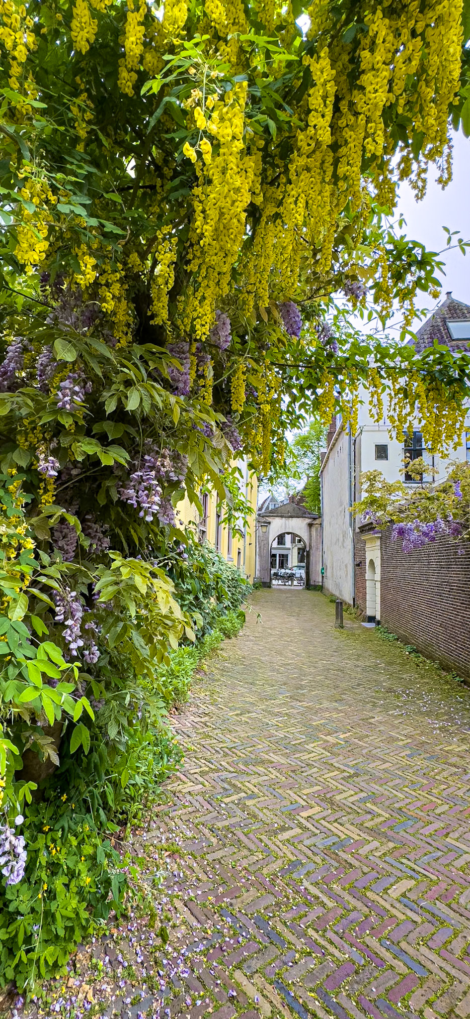 Hofpoort - Utrecht, The Netherlands (2024)