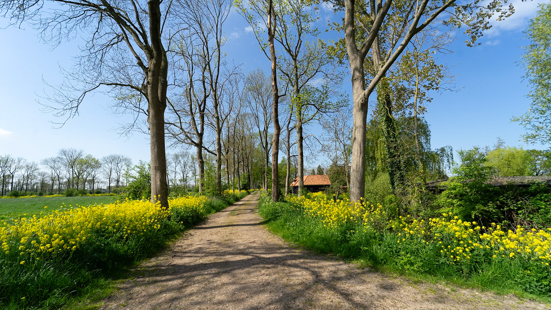 Rondeel - Culemborg (2026)