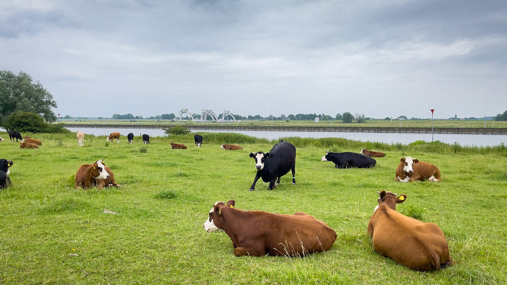 Nederrijn - The Netherlands (2021)