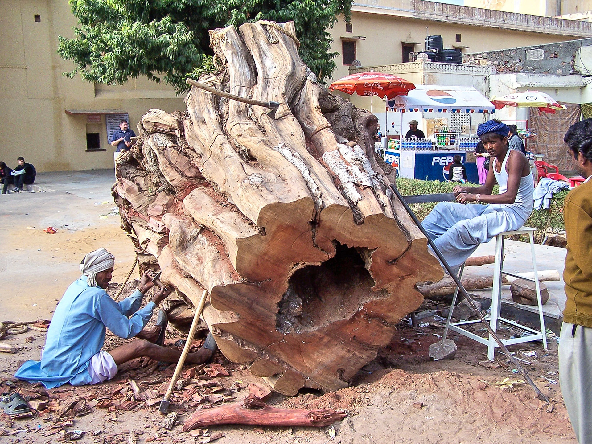 Cutting huge tree in the streets of Jaipur, India 2003.