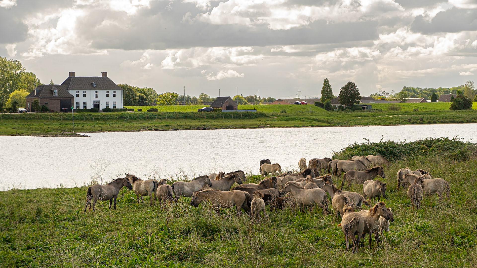 Blauwe Kamer - Rhenen, The Netherlands (2024)