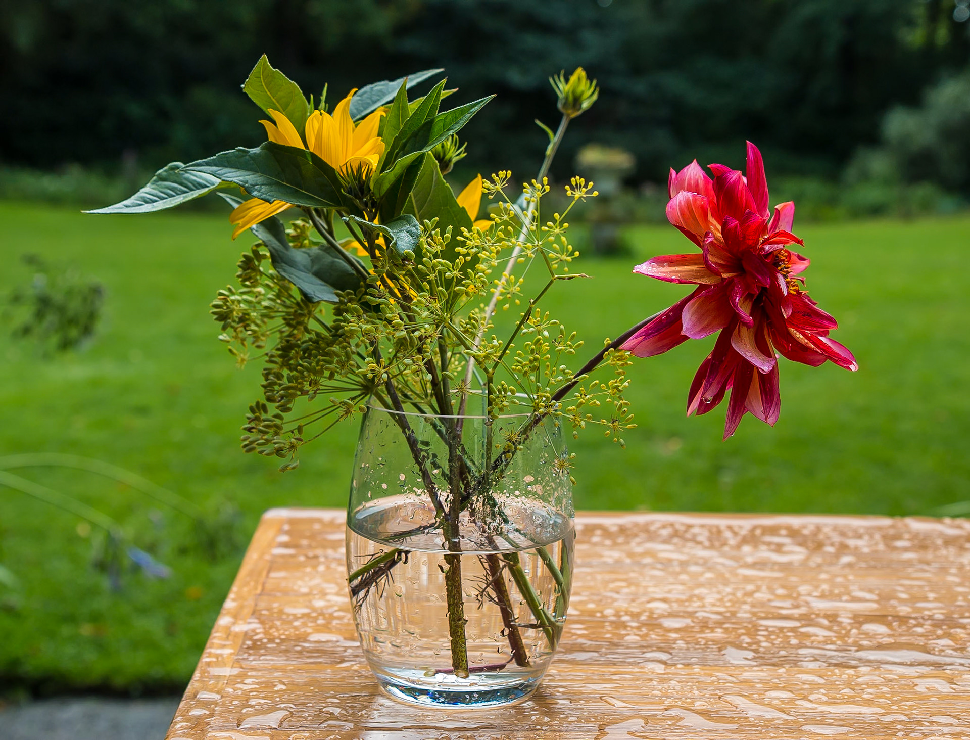 Vollenhoven - Utrecht, The Netherlands (2014)