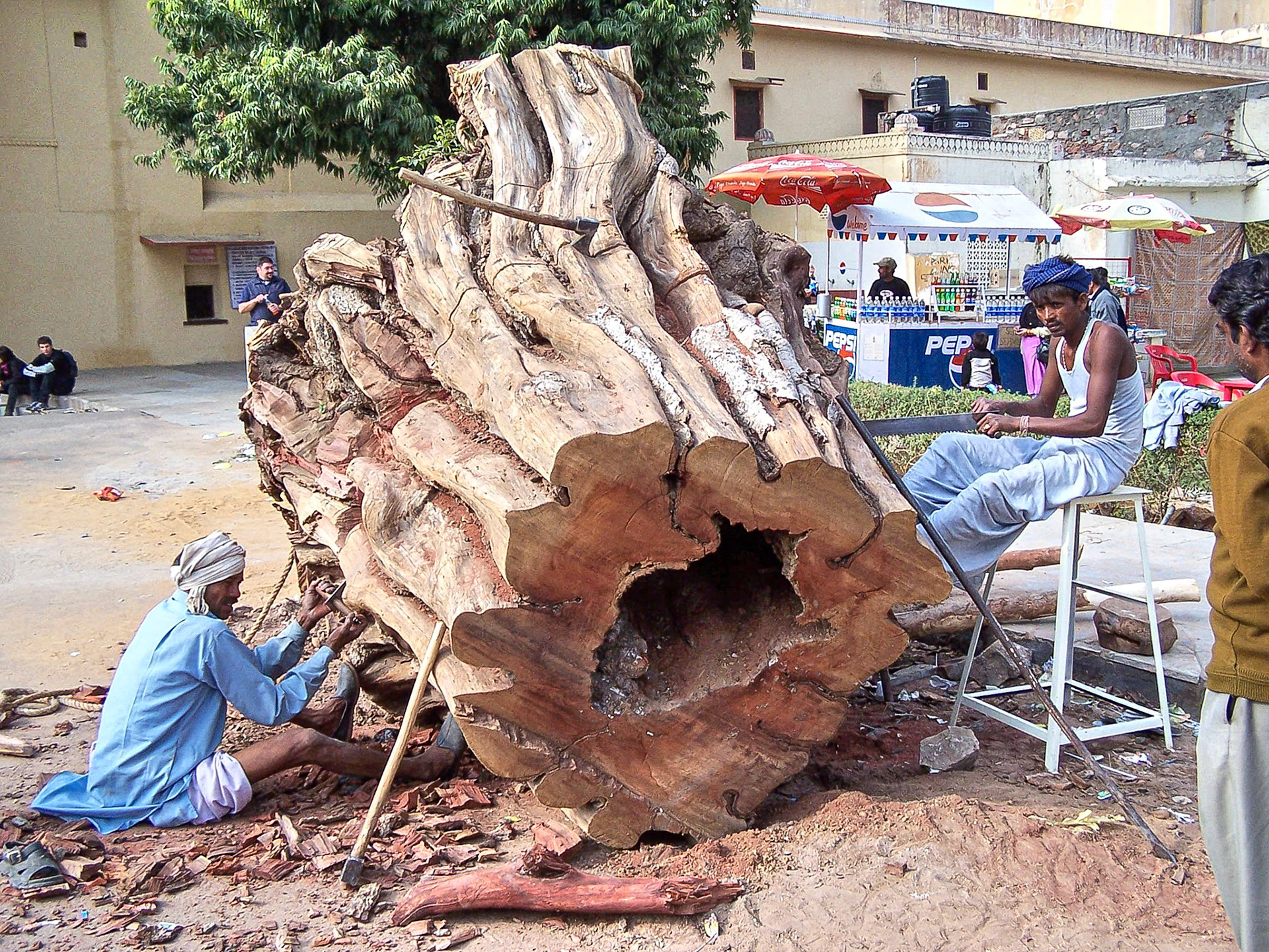 Cutting huge tree - Jaipur, India (2003)
