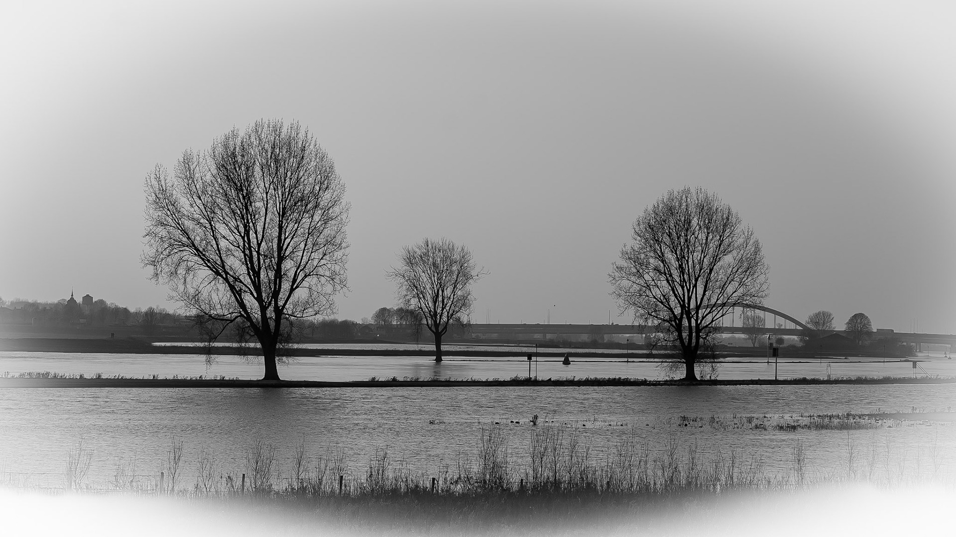 Lek - The Netherlands (2018)