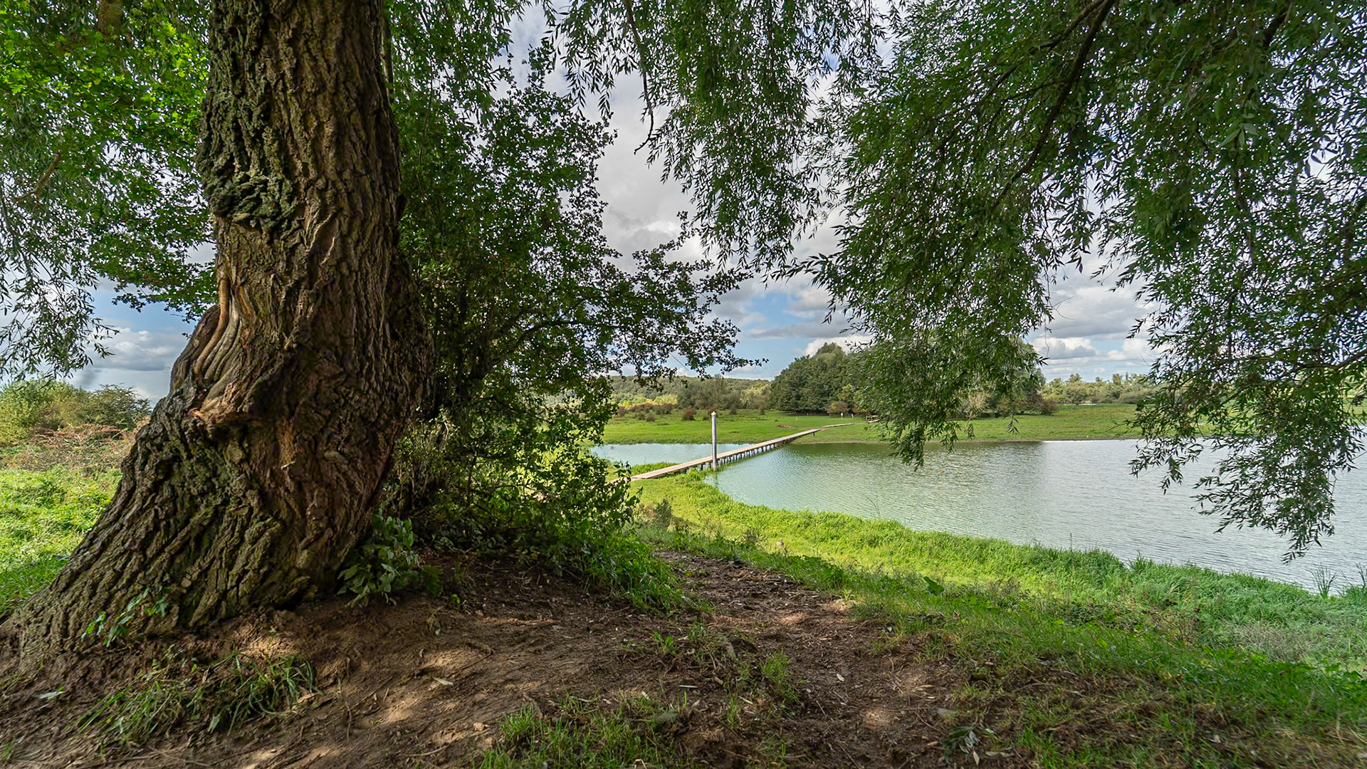 Blauwe Kamer - Rhenen, The Netherlands (2024)