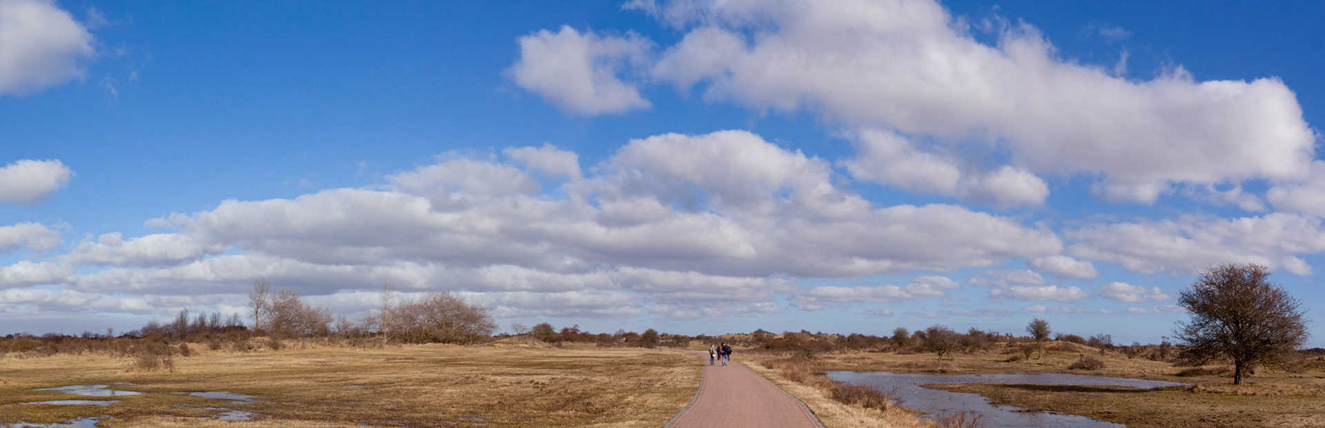 Duinen , The Netherlands (2021)