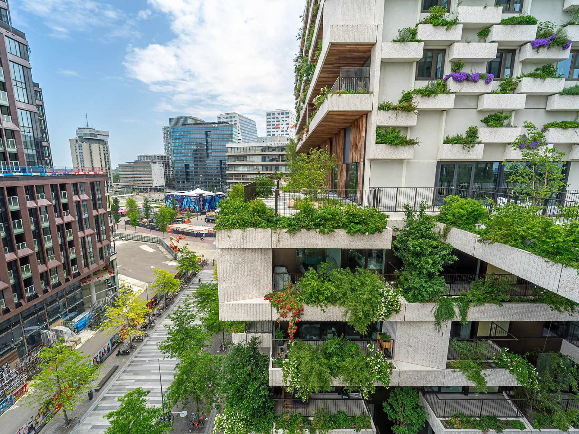Utrecht - Wonderwoods (2025)